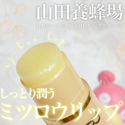 RJビーリップ/アピセラピーコスメティクス/リップクリームを使ったクチコミ(1枚目)