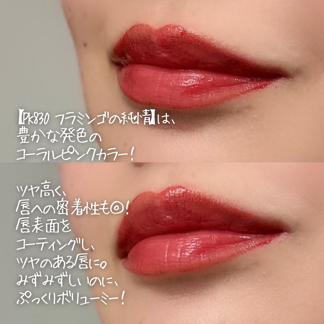 ネンマクフェイク リキッド PK830  フラミンゴの純情/Visée/口紅を使ったクチコミ（3枚目）
