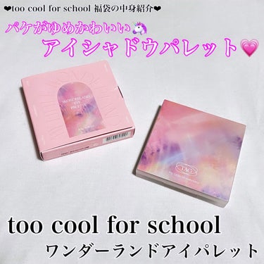 TAG WONDERLAND EYE PALETTE/too cool for school/アイシャドウパレットを使ったクチコミ（1枚目）