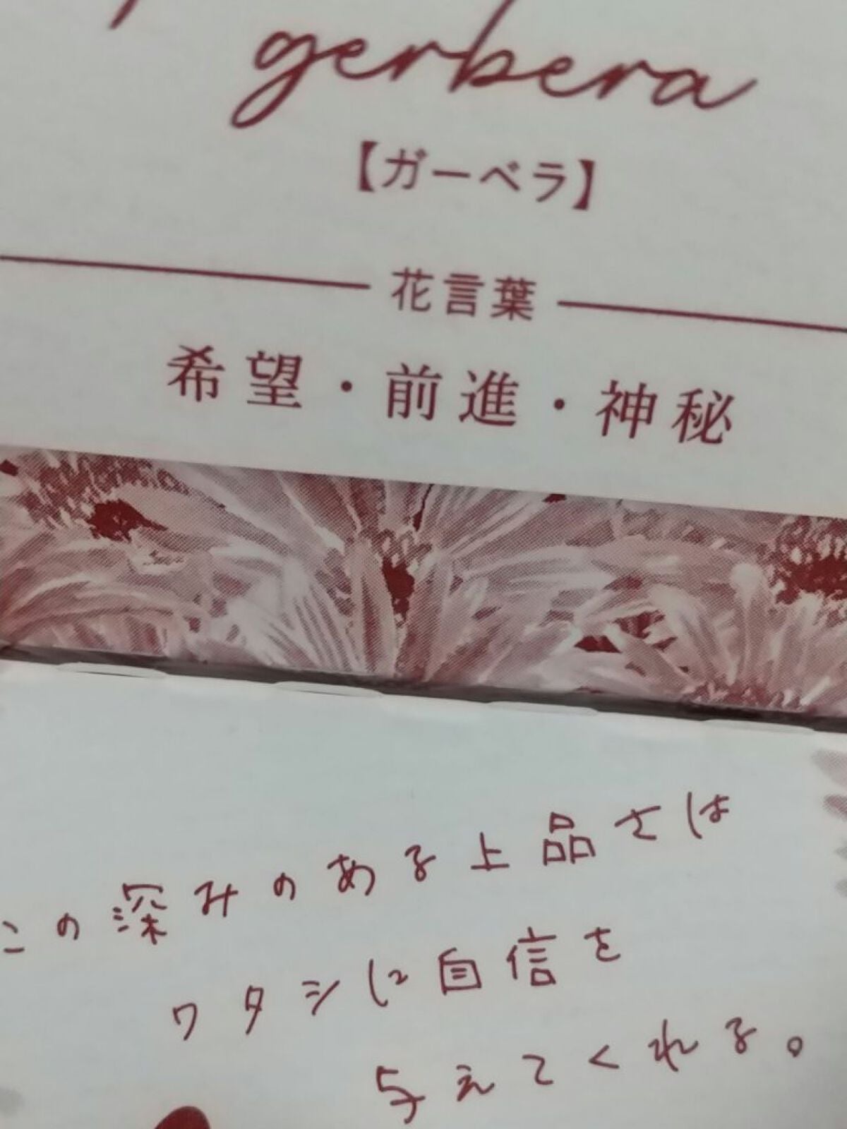 カラーミーツ アイライナー/リリーフルール/リキッドアイライナーを使ったクチコミ(3枚目)