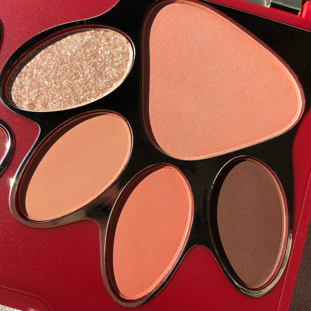 トラ十色アイシャドウパレット/COLORKEY/アイシャドウパレットを使ったクチコミ(5枚目)