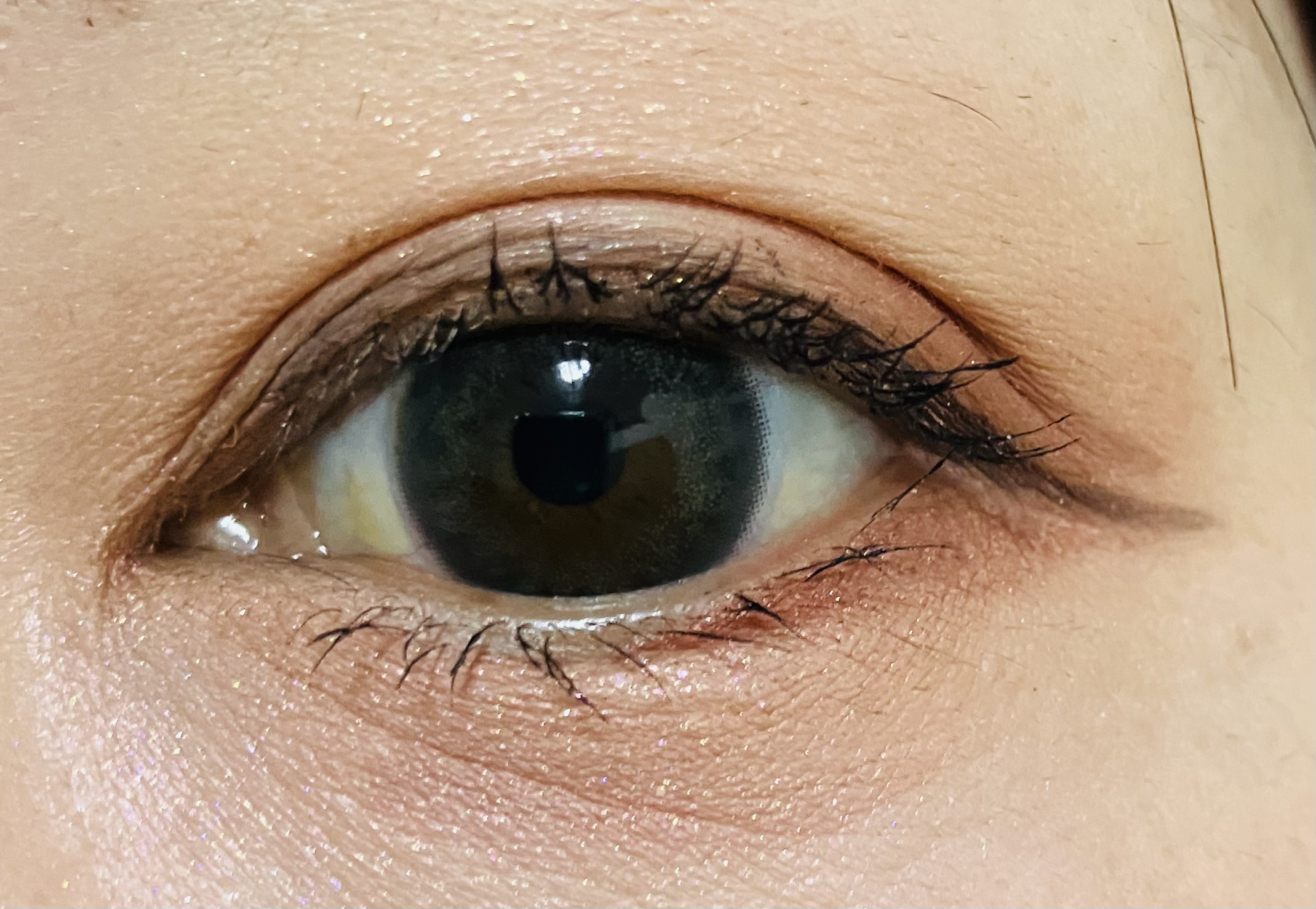 エレクトリックショックアイズ /KATE/アイシャドウパレットを使ったクチコミ（2枚目）