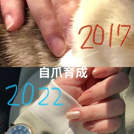 なめらかつめけずり ネイルリボン/松本金型/ネイル用品を使ったクチコミ(1枚目)