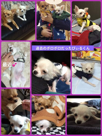 ルルルンワンナイト レスキュー保湿(旧品)/ルルルン/シートマスク・パックを使ったクチコミ(5枚目)