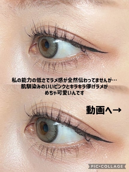 エクスプローラ12色 動物アイシャドウパレット/PERFECT DIARY/アイシャドウパレットを使ったクチコミ(3枚目)