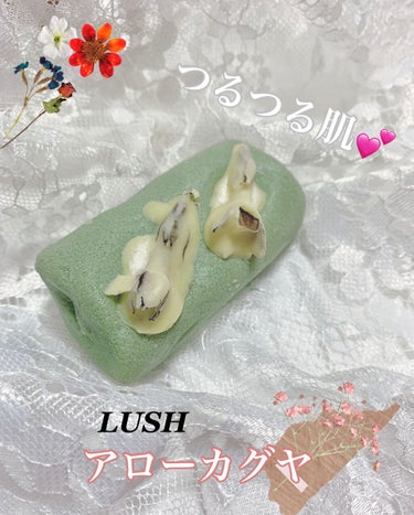 今回はLUSHさんから洗顔料「アローカグヤ」をいただきました！ありがとうございます！







LUSH   
シュガークレンザーロール『アローカグヤ』
1,420円(税込)/75g







