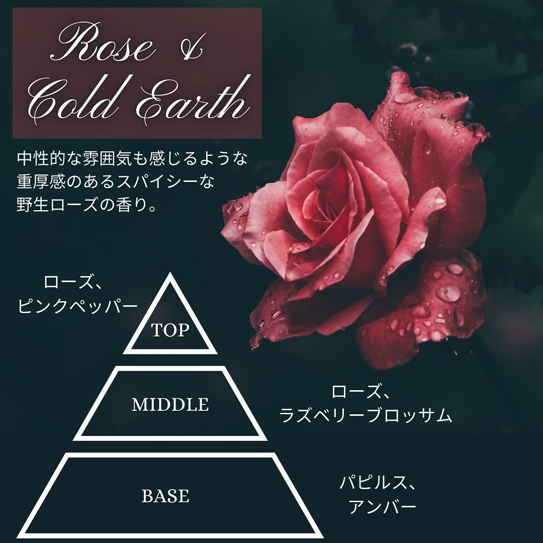 パフュームスティック/TISLO/練り香水を使ったクチコミ(2枚目)