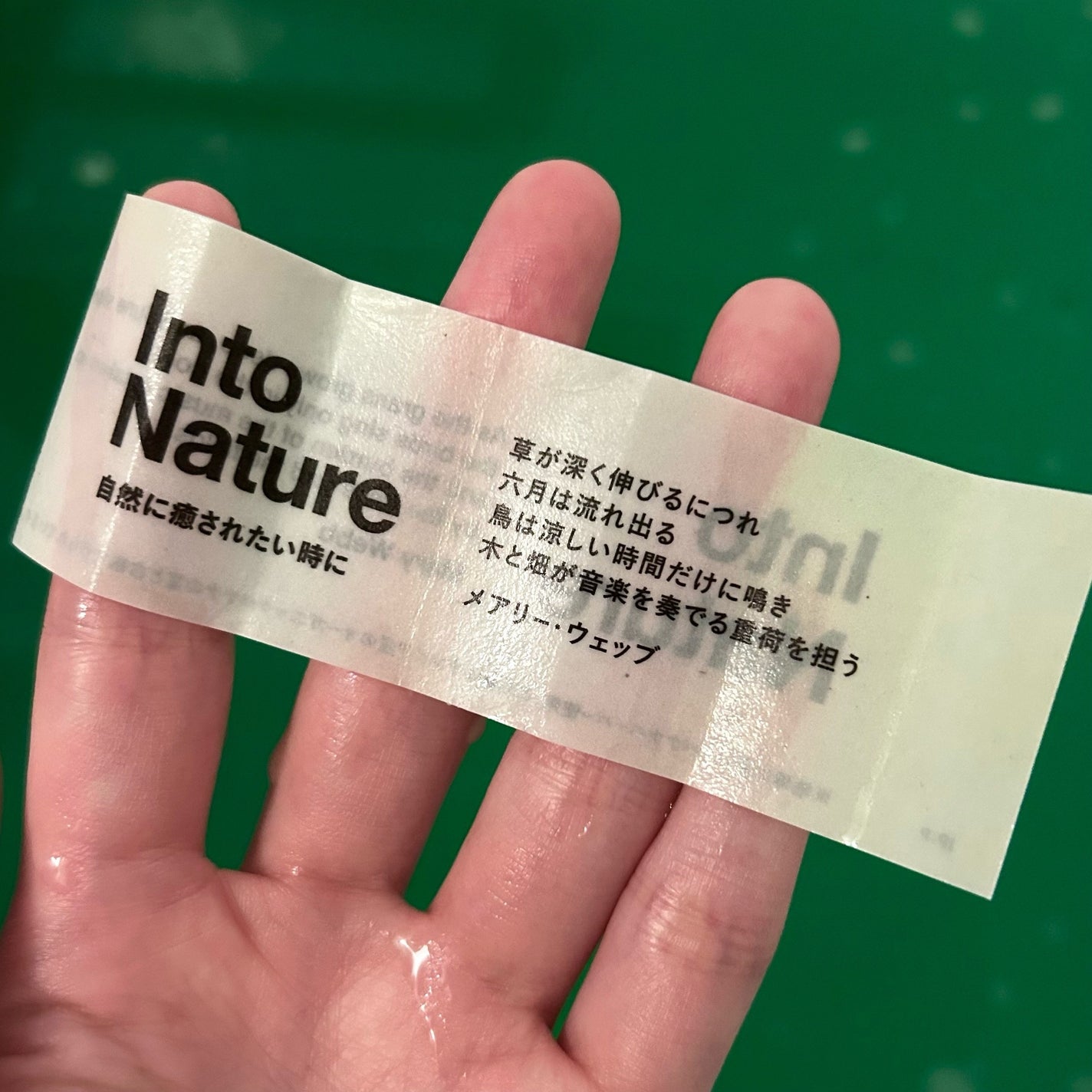 イントゥーネイチャー(バスボム)/ラッシュ/炭酸系入浴剤を使ったクチコミ(2枚目)