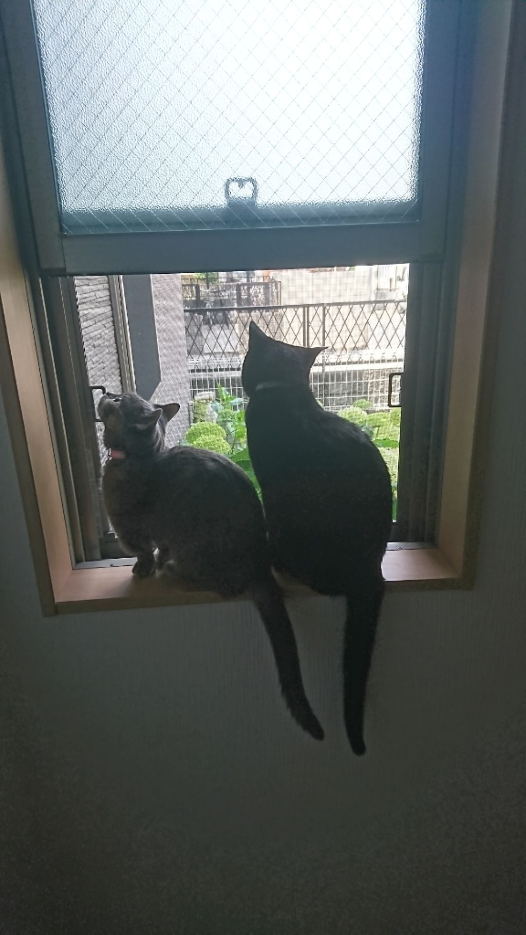 マヴァドライ 918/MAVALA/ネイルトップコートを使ったクチコミ（2枚目）