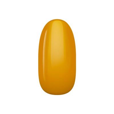 INITY カラージェルクリア[C] CT-09C ティフィンバック