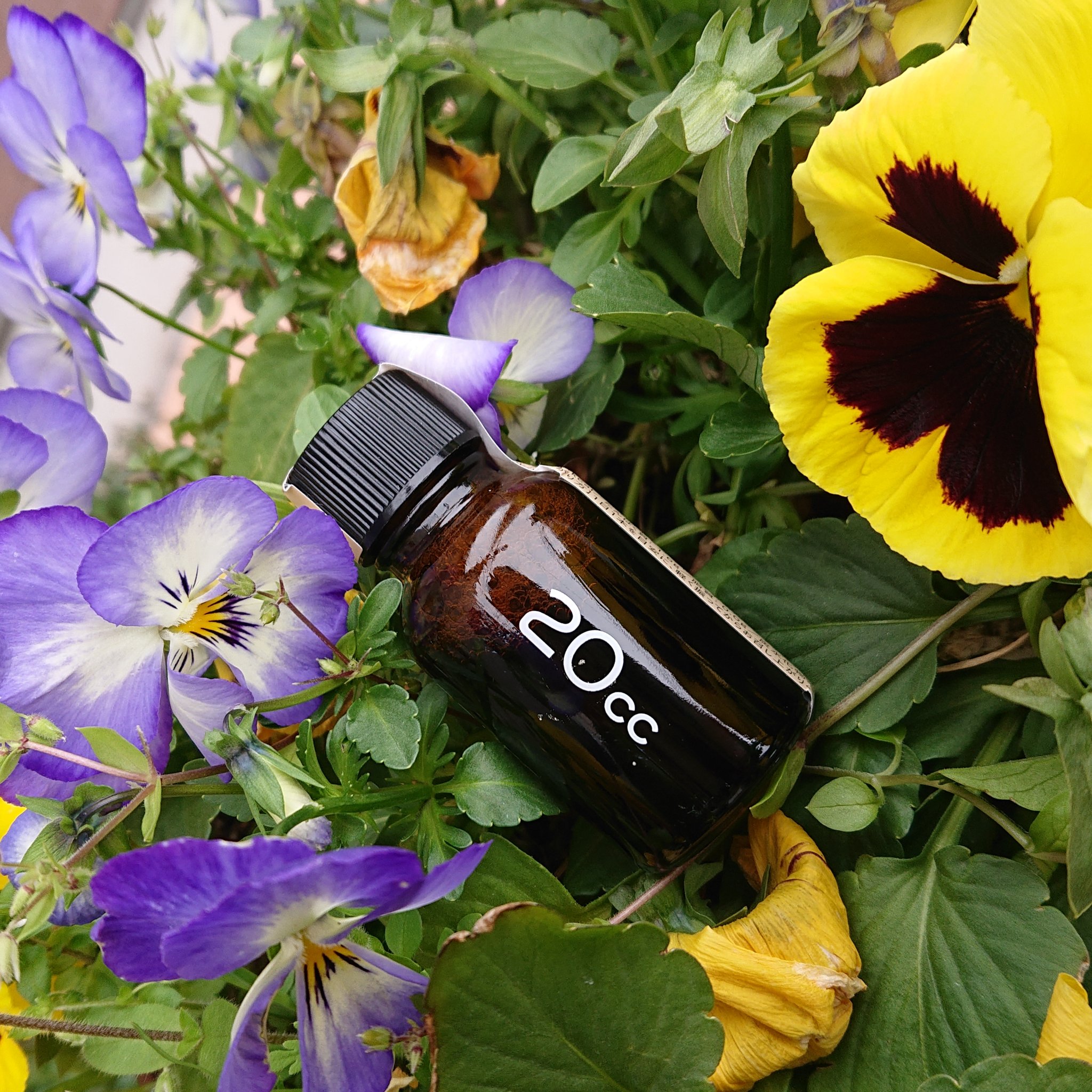 インテンスプラセンタ ブタ/TOKYO PLACENTA 20cc/美容ドリンクを使ったクチコミ（2枚目）