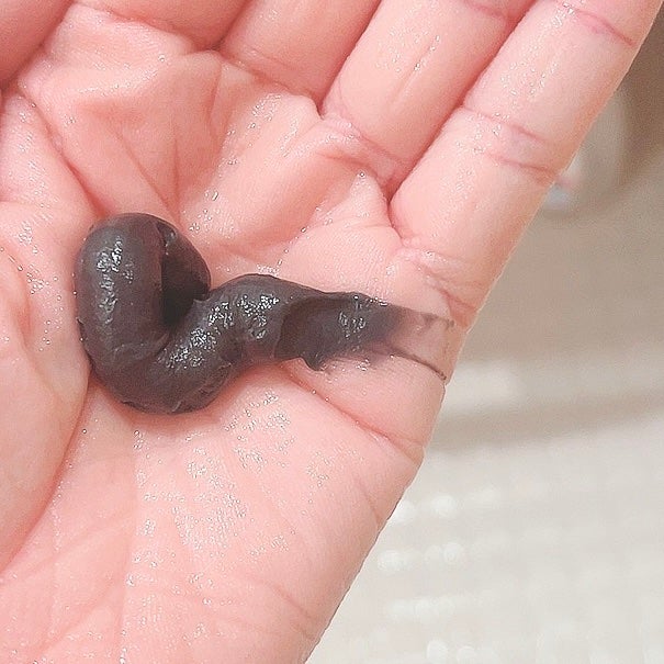 ブラッククリームシャンプー/creme de Ann/市販シャンプーを使ったクチコミ(3枚目)