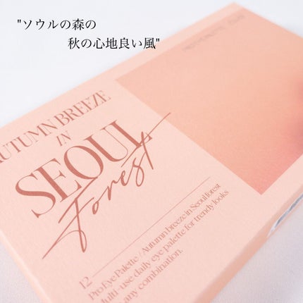 プロ アイ パレット/CLIO/アイシャドウパレットを使ったクチコミ(2枚目)