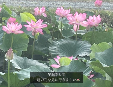 ケイト リップモンスター/KATE/口紅を使ったクチコミ(3枚目)