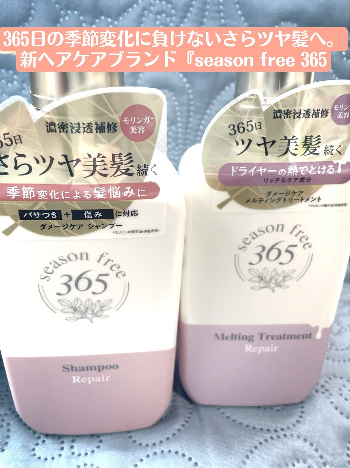 リペア シャンプー/メルティングトリートメント/season free 365/市販シャンプーを使ったクチコミ（1枚目）