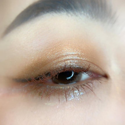 エクスプローラ12色 動物アイシャドウパレット/PERFECT DIARY/アイシャドウパレットを使ったクチコミ(3枚目)