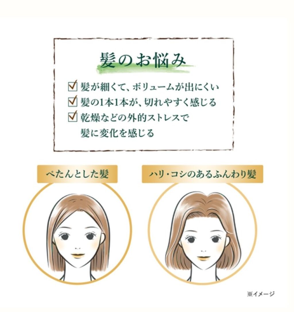 ファイブハーブス ボリューム＆ストレングスシャンプー/コンディショナー/L'OCCITANE/市販シャンプーを使ったクチコミ（2枚目）