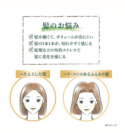 ファイブハーブス ボリューム&ストレングスシャンプー/コンディショナー/L'OCCITANE/市販シャンプーを使ったクチコミ(2枚目)