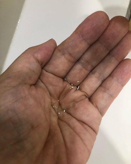 パイナップル豆乳ローションプレミアム/鈴木ハーブ研究所/ボディローションを使ったクチコミ(5枚目)