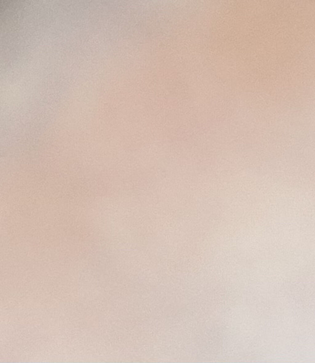 グロウフルールチークス/キャンメイク/パウダーチークを使ったクチコミ（2枚目）