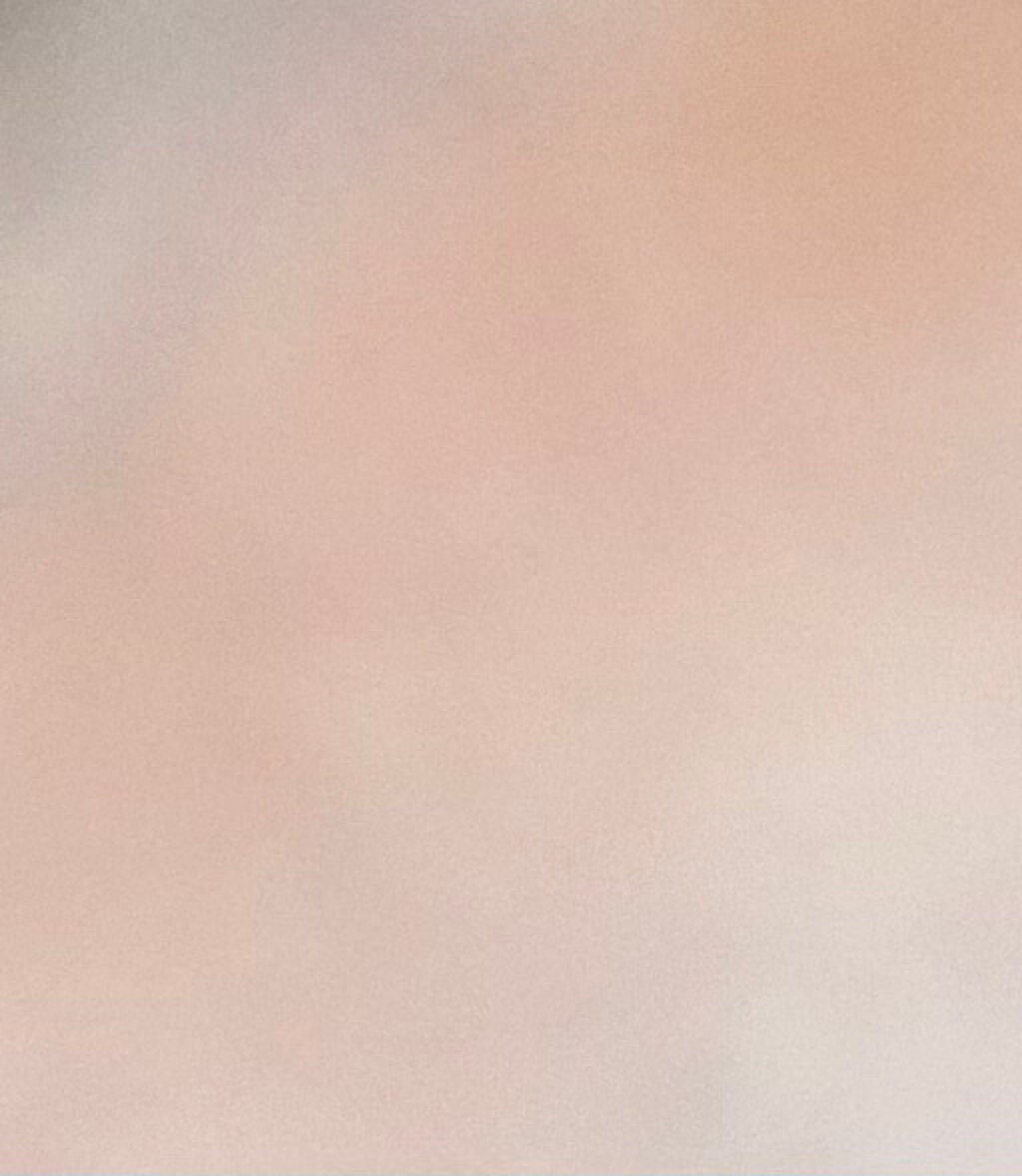 グロウフルールチークス/キャンメイク/パウダーチークを使ったクチコミ(2枚目)