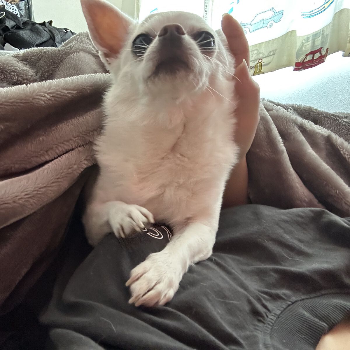 なんか最近左手の人差し指の第二関節がドンドンデカくなってんだけどなんだこれ？あと両手首が筋肉痛。最近筋力が少しずつついてきたのか腱鞘炎にはなりづらくなってきたんだけど、筋肉痛にはなる。ずっと筋肉痛。筋力がねえんだろうなこれは。だってわたし筋