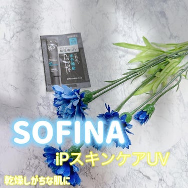 ソフィーナ iP スキンケアUV 01乾燥しがちな肌 SPF50+ PA++++/SOFINA iP/日焼け止め・UVケアを使ったクチコミ（1枚目）