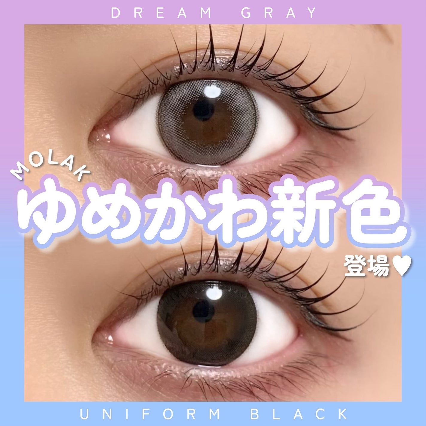 MOLAK 1day/MOLAK/ワンデー(1DAY)カラコンを使ったクチコミ(1枚目)