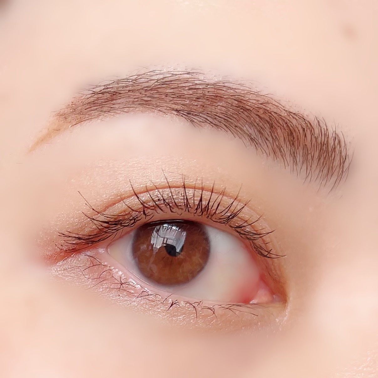 ミゼルエディ アンダーキープマスカラ/ミゼルエディ/マスカラを使ったクチコミ(5枚目)