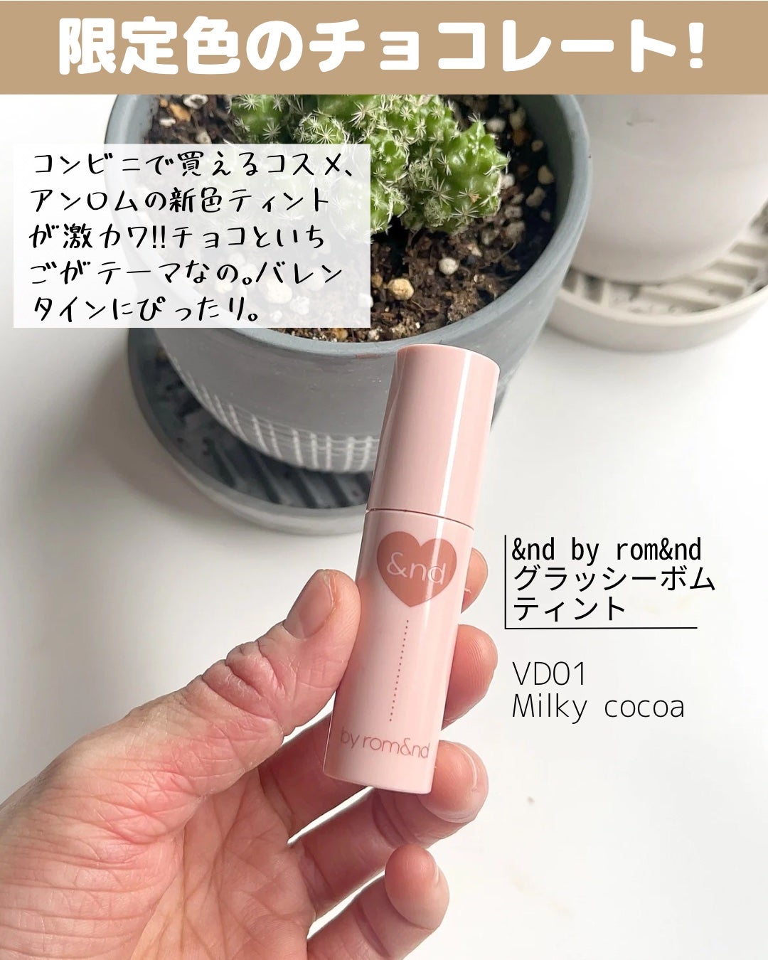 ネンマクフェイク ルージュ/Visée/口紅を使ったクチコミ(4枚目)