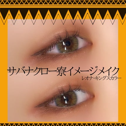 プロ アイ パレット/CLIO/アイシャドウパレットを使ったクチコミ(1枚目)