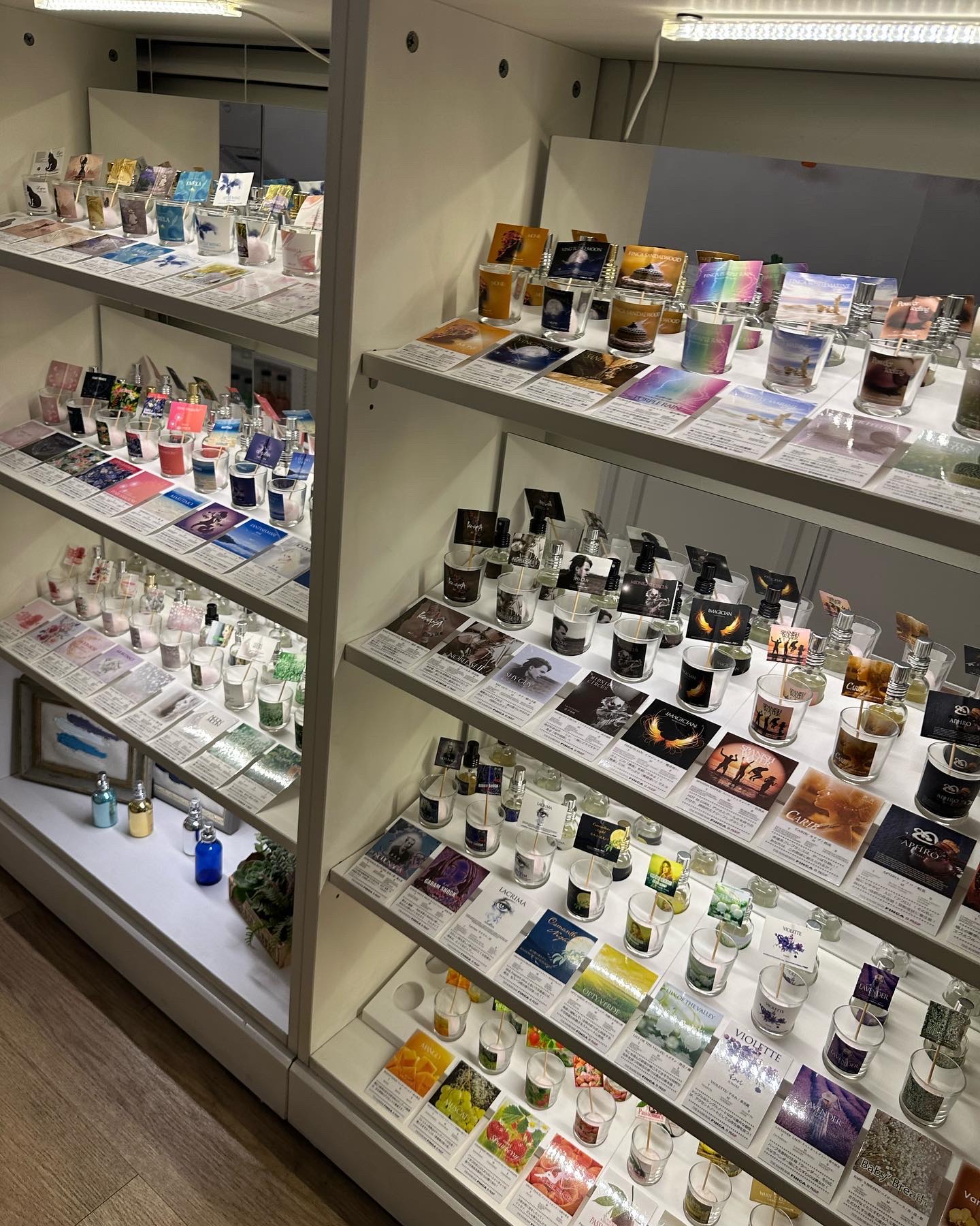 MONET/FINCA/香水(その他)を使ったクチコミ（3枚目）