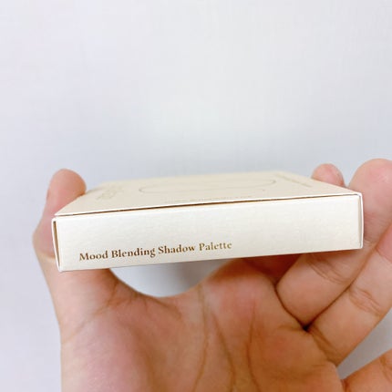 ムードブレンディングシャドウパレット/Coralhaze/アイシャドウパレットを使ったクチコミ(9枚目)