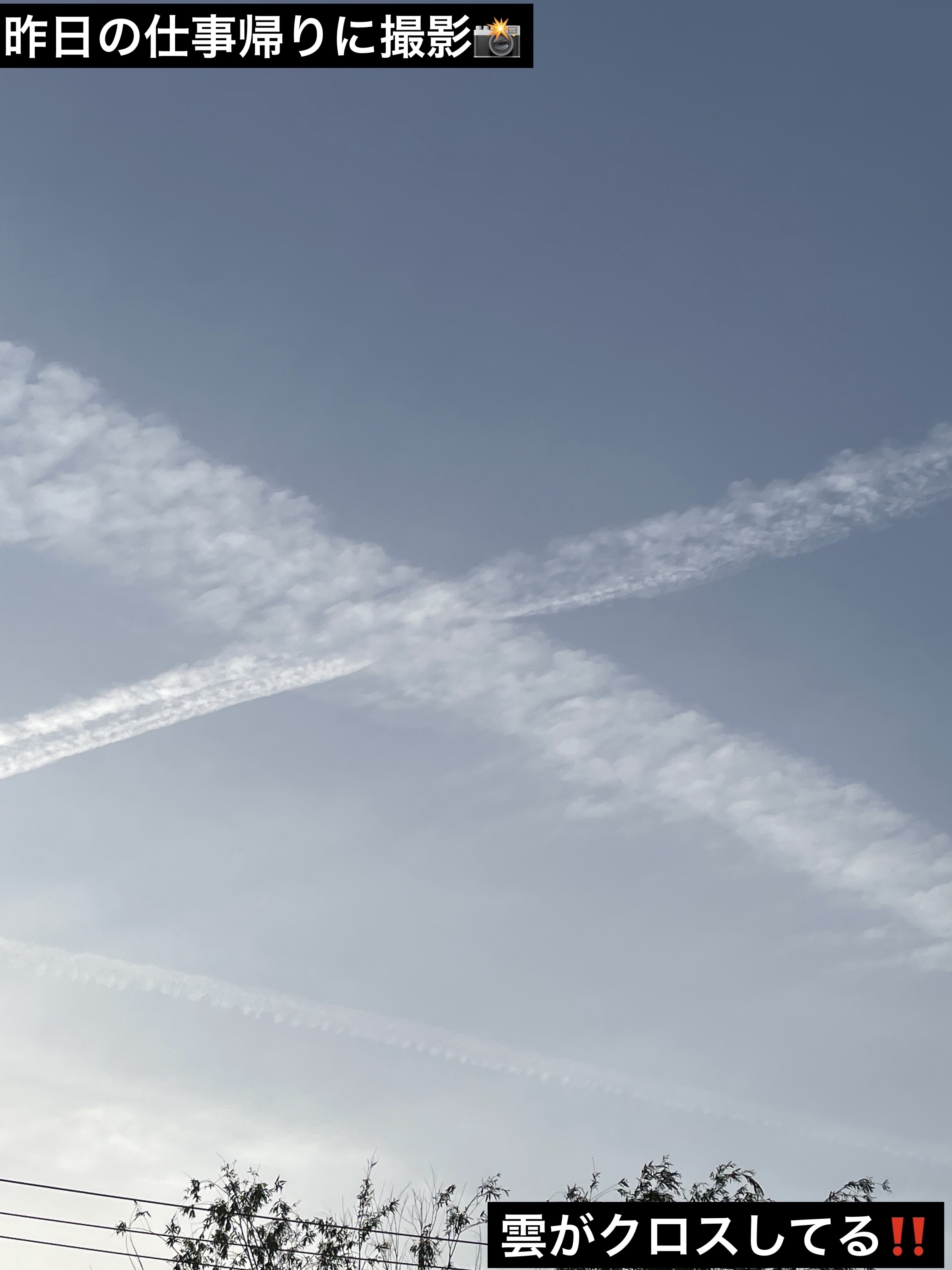 アイシャドウパレット/coou/アイシャドウパレットを使ったクチコミ（2枚目）