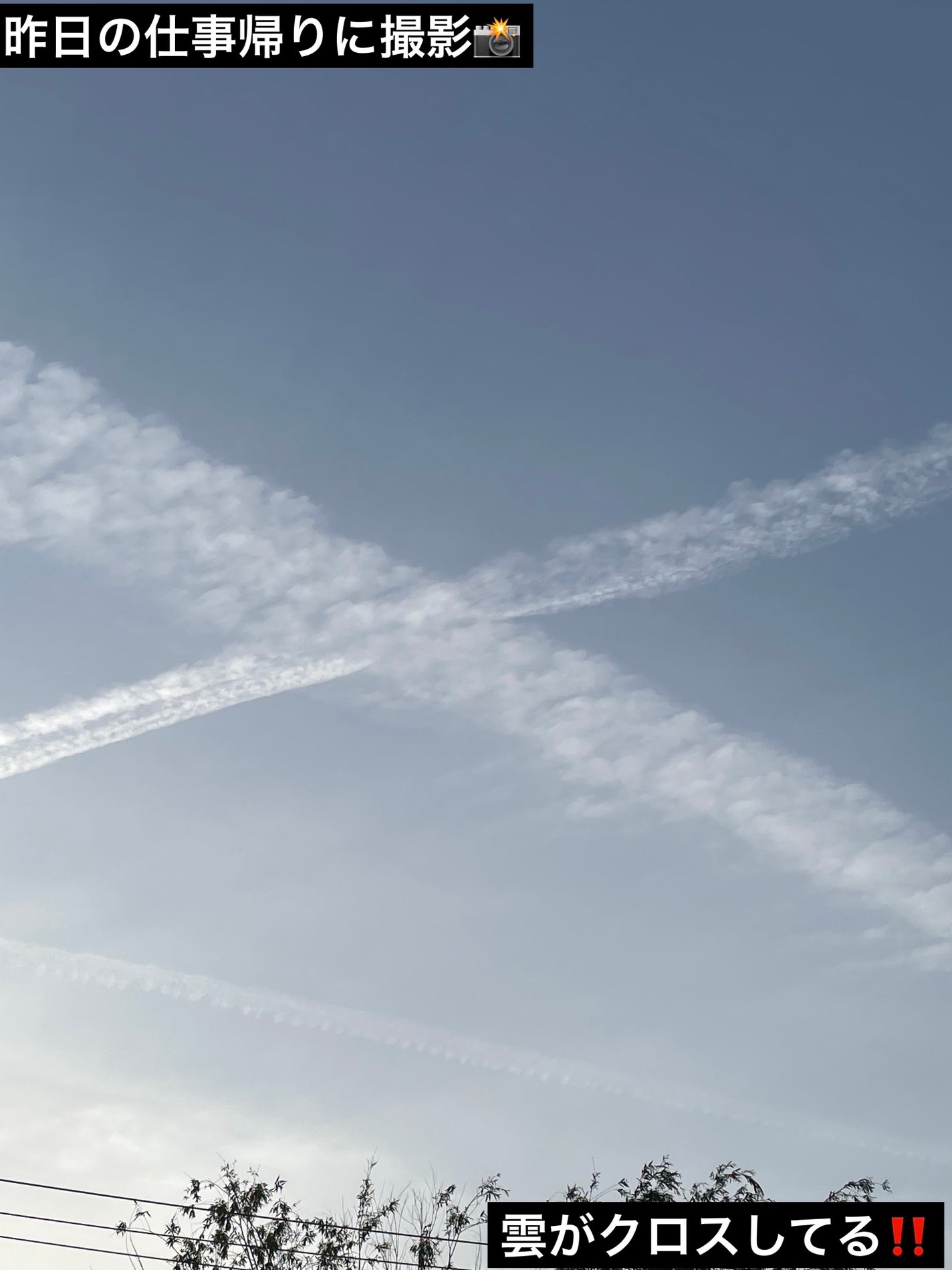 アイシャドウパレット/coou/アイシャドウパレットを使ったクチコミ(2枚目)