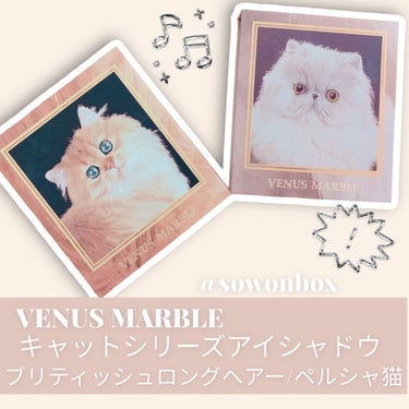 Venus Marble アイシャドウキャットシリーズ/Venus Marble/パウダーアイシャドウを使ったクチコミ（1枚目）