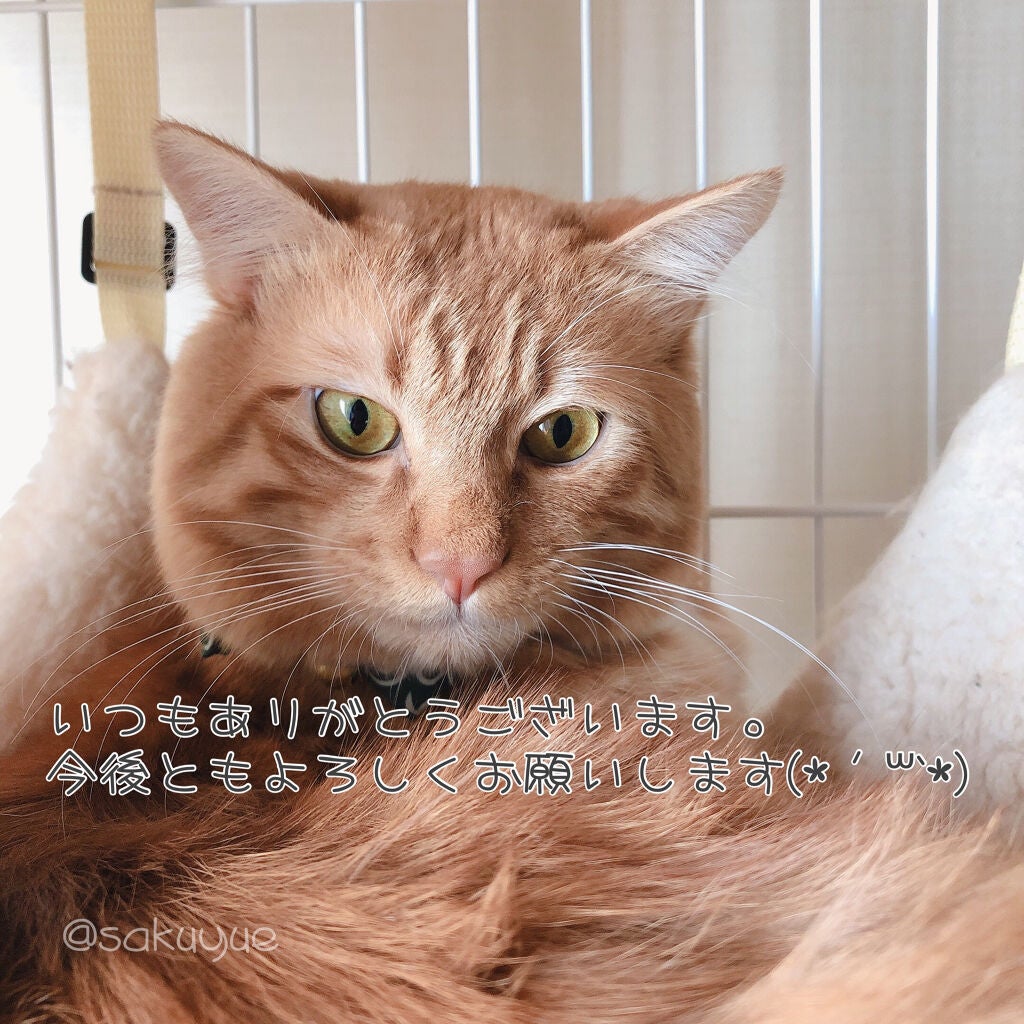 トリートメントコンシーラー ピンクベージュ/ネイリスト/ネイルオイル・トリートメントを使ったクチコミ(2枚目)