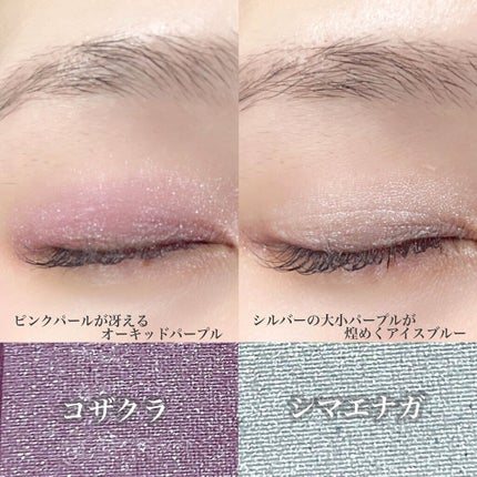 ファーストバードアイシャドウパレット/CLARUM/アイシャドウパレットを使ったクチコミ(6枚目)