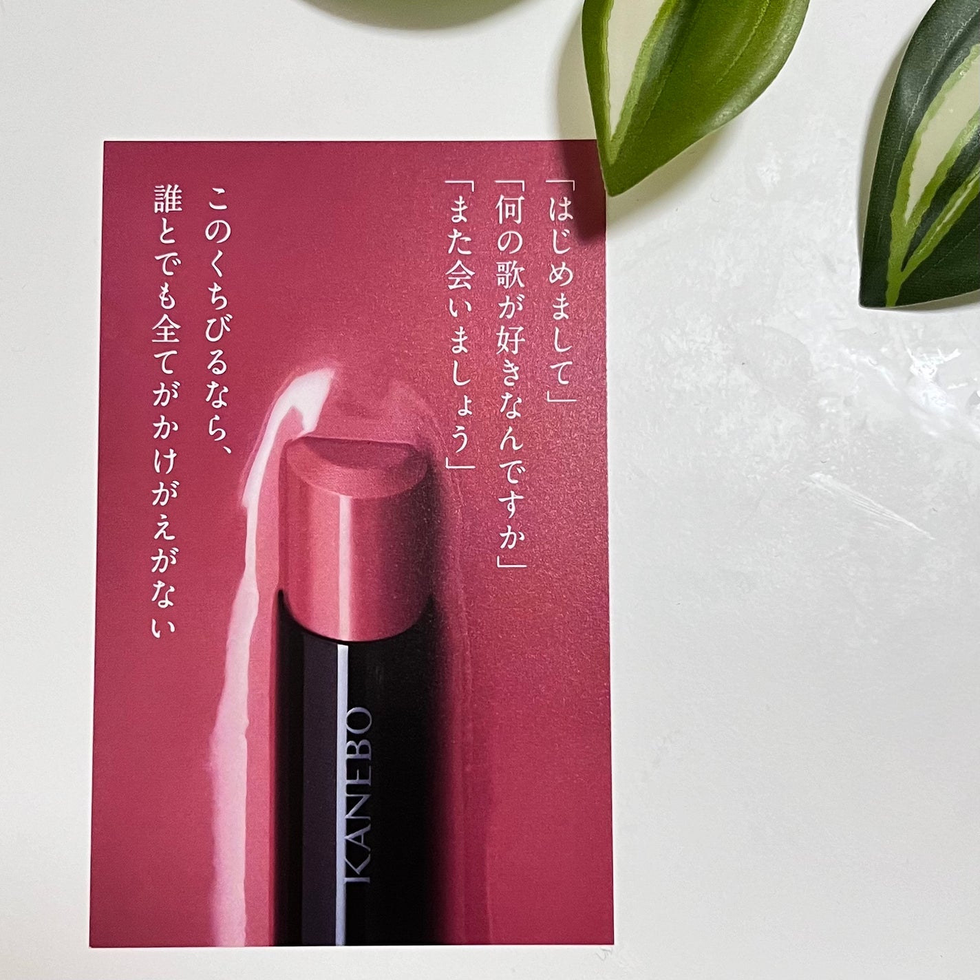 ルージュスターヴァイブラント/KANEBO/口紅を使ったクチコミ(8枚目)