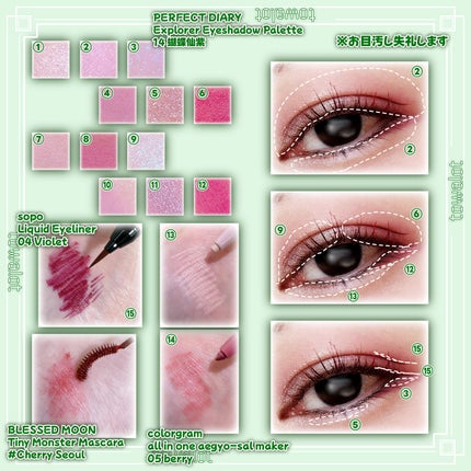 エクスプローラ12色 動物アイシャドウパレット/PERFECT DIARY/アイシャドウパレットを使ったクチコミ(2枚目)