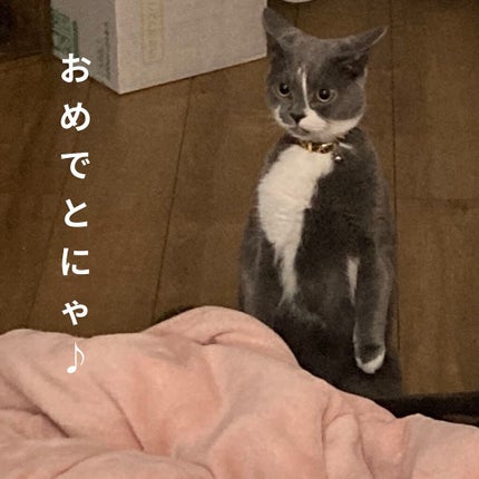 ミニネイル/パラドゥ/マニキュアを使ったクチコミ(7枚目)