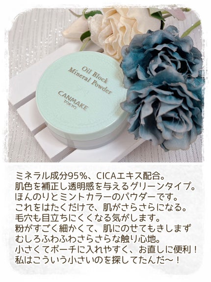 オイルブロックミネラルパウダー/キャンメイク/ルースパウダーを使ったクチコミ(3枚目)