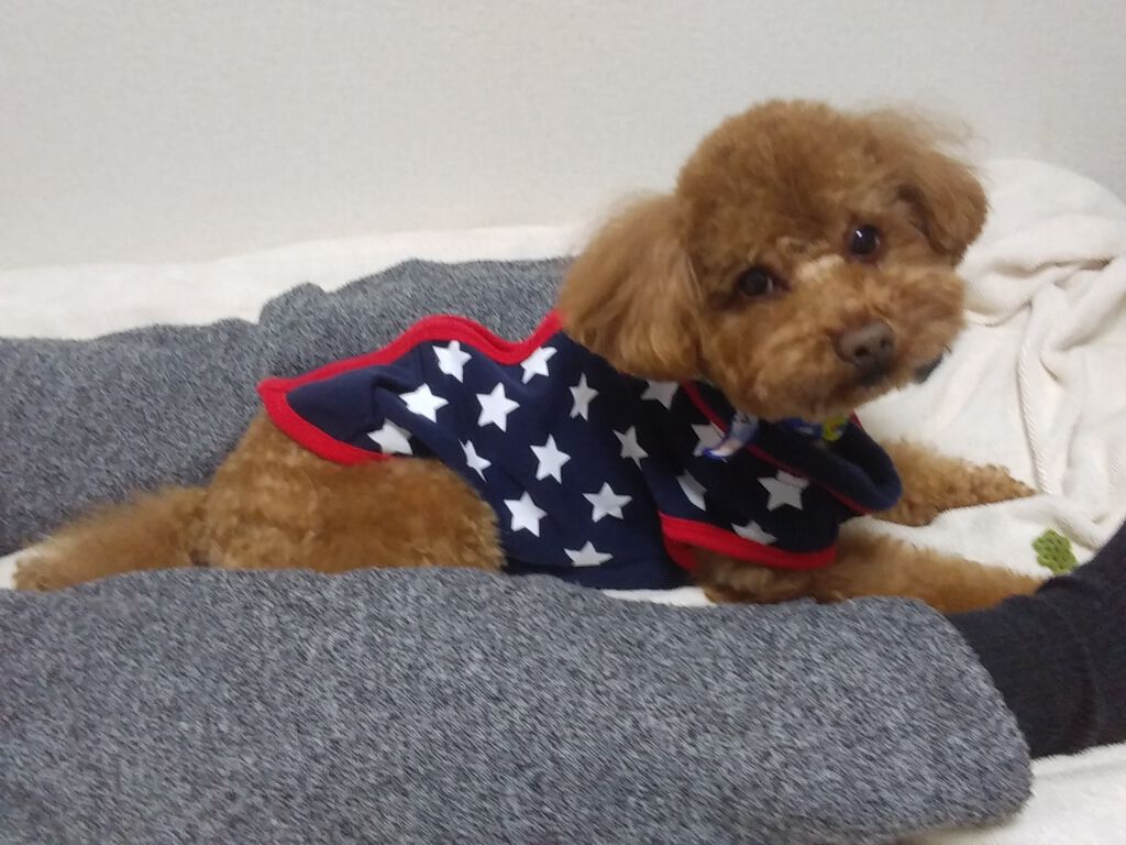 デザイニングアイブロウN/KATE/パウダーアイブロウを使ったクチコミ（1枚目）