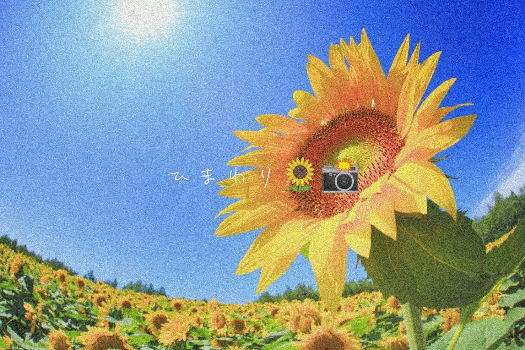 自己紹介/ノーブランド/その他を使ったクチコミ（1枚目）