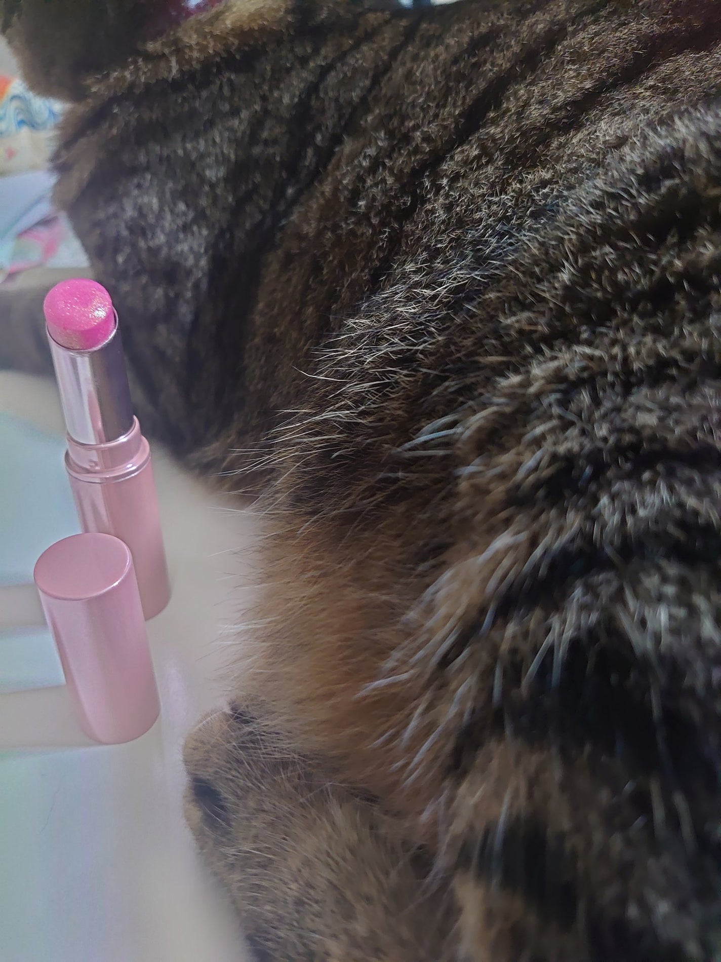 アイムユアリップティント/all my things/リップティントを使ったクチコミ(1枚目)