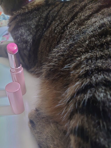 アイムユアリップティント/all my things/リップティントを使ったクチコミ(1枚目)