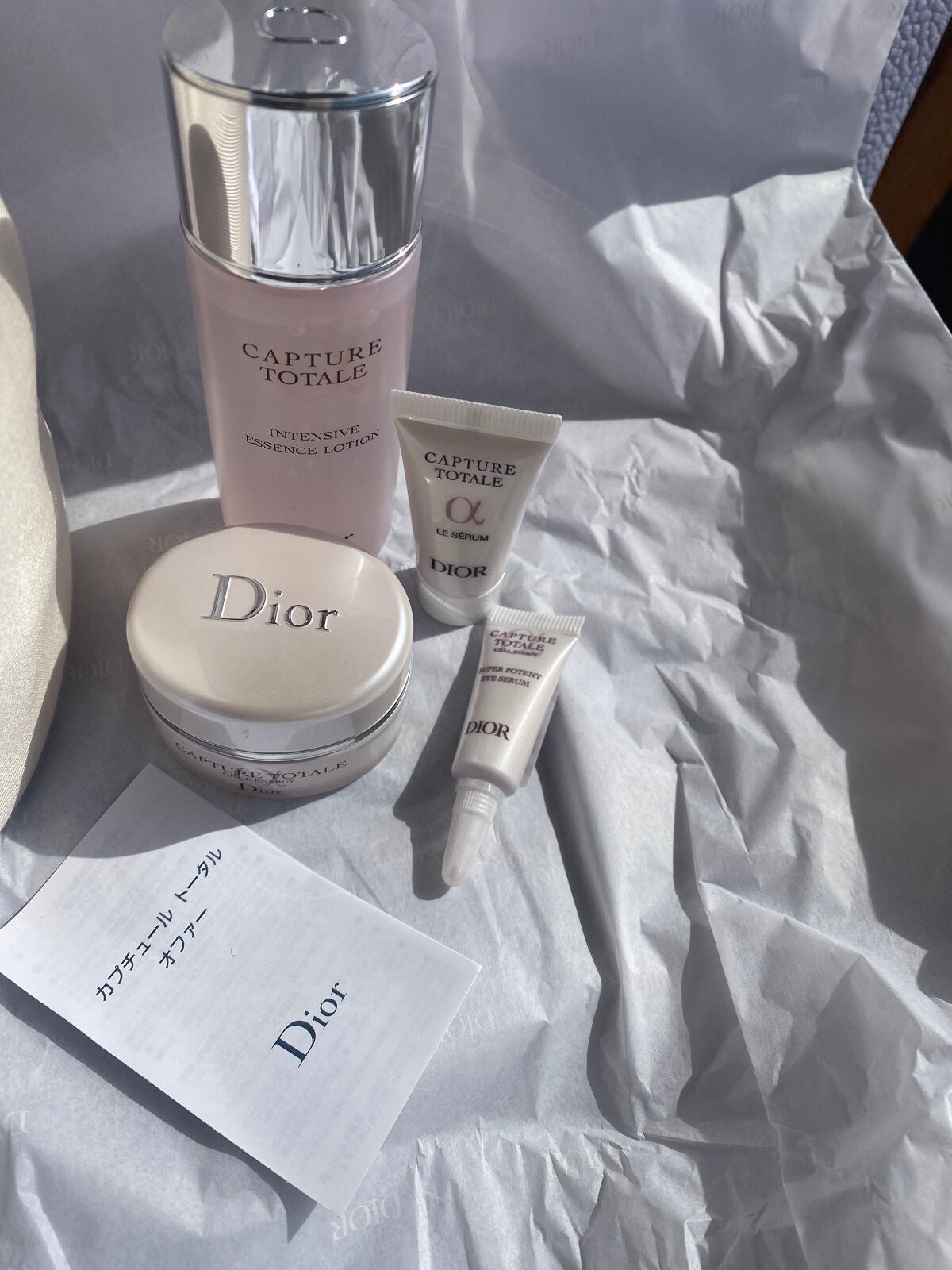 Dior ディオール スノーオファー巾着のみ 激安ブランド - バッグ