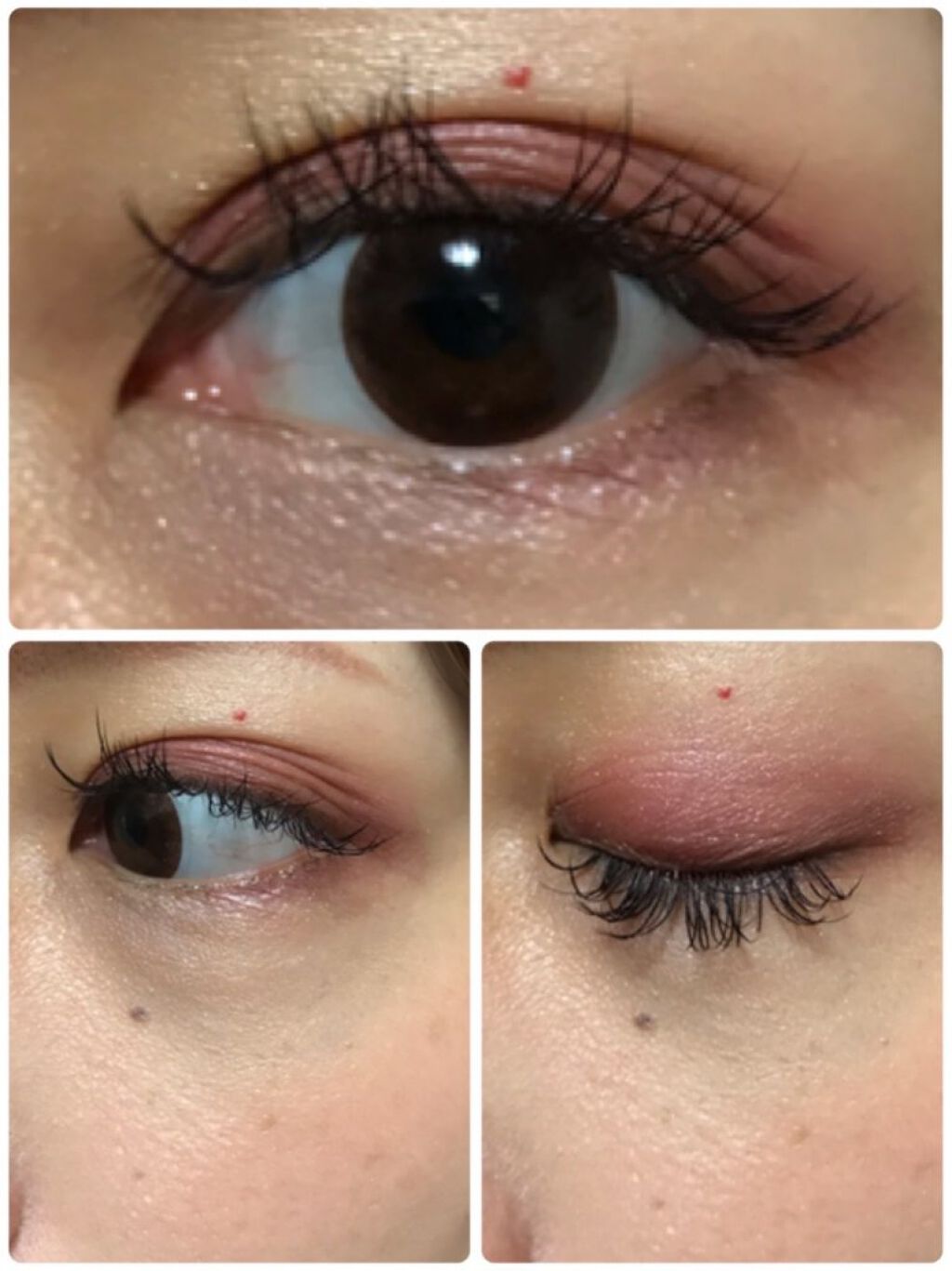 ディスコグラム アイパレット/shu uemura/アイシャドウパレットを使ったクチコミ（3枚目）