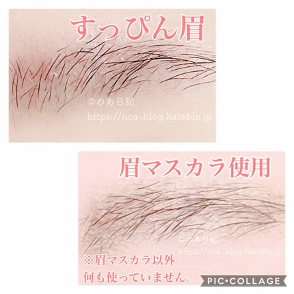 リシェ カラーリング アイブロウマスカラ/Visée/眉マスカラを使ったクチコミ(4枚目)