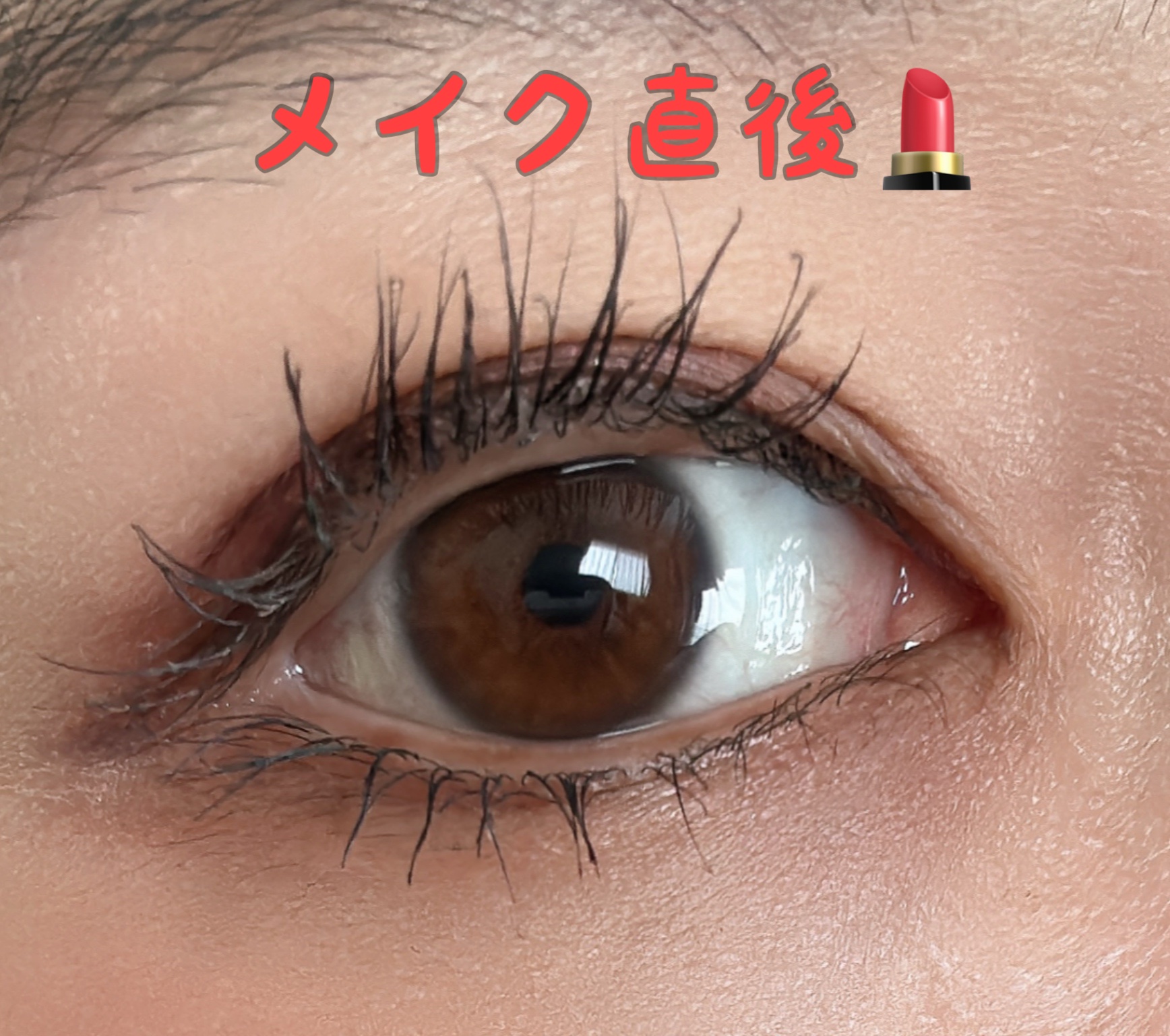 カールラッシュ フィクサー/Elégance/マスカラ下地を使ったクチコミ（3枚目）